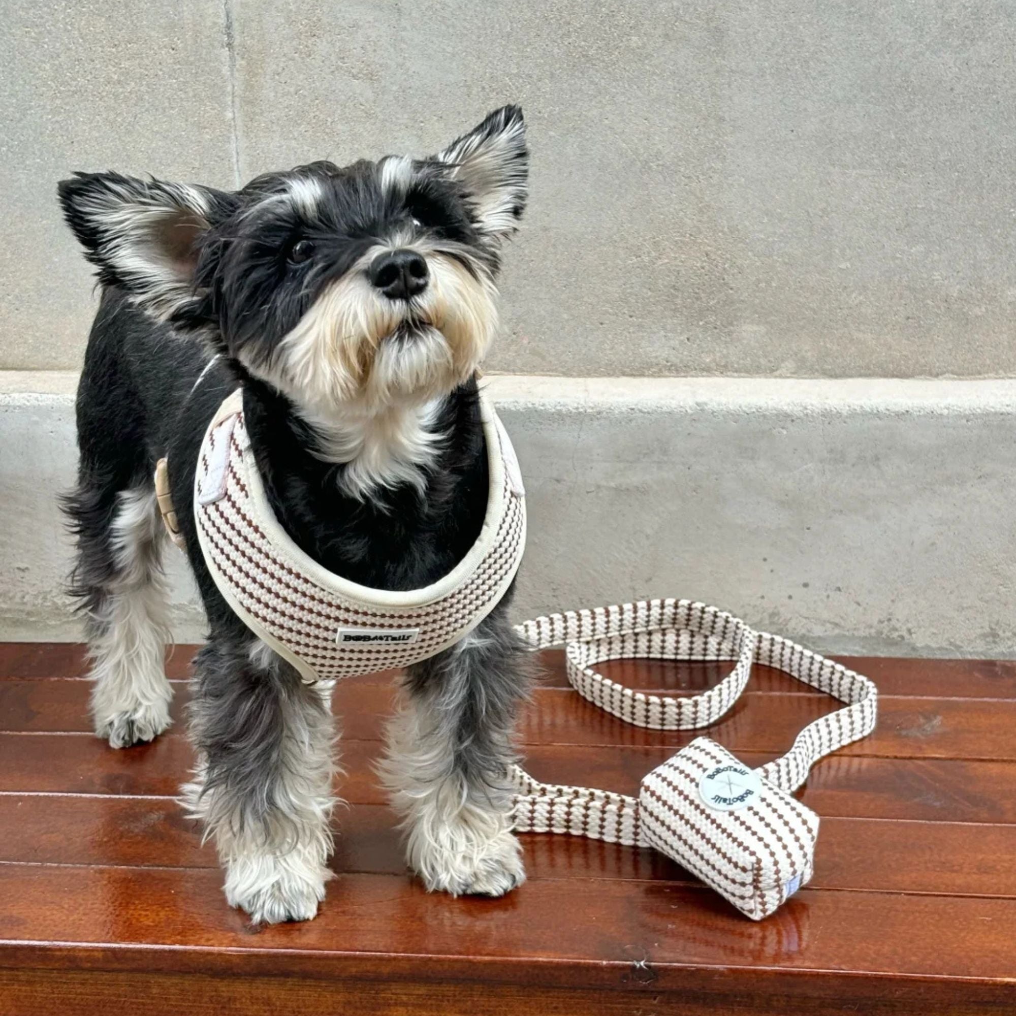 dog poop bag holder matching the small grain harness and owner accessories for daily dog walks