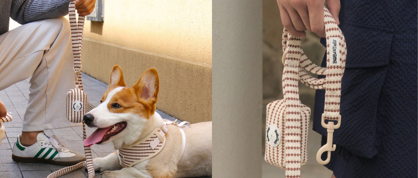 Matching small grain dog bow tie designed to complement the harness and accessories within the set