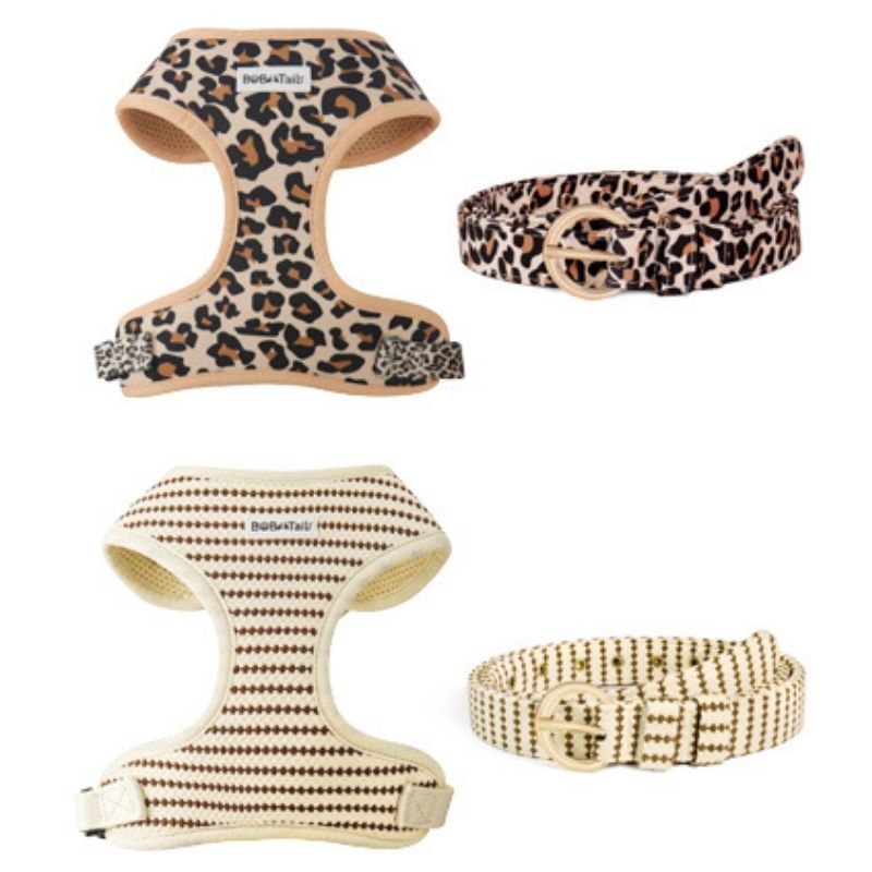 small grain women's belt designed to match the harness and owner accessories for modern pet parents