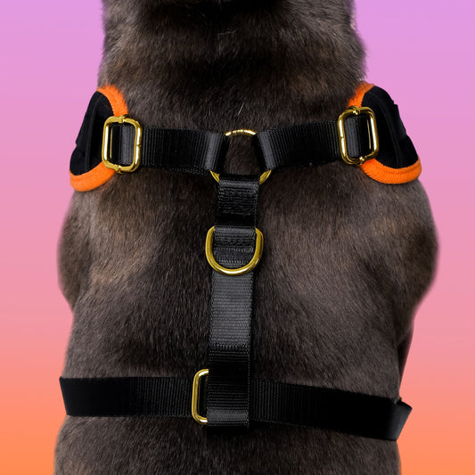halloween velvet dog harness for medium dogs -bobotails
