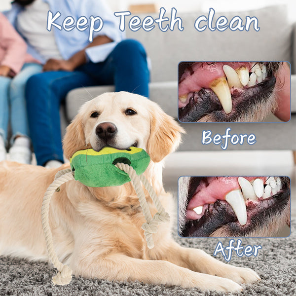 Puppy Chew Toys