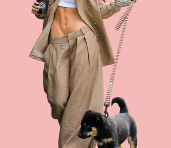 Best dog leash for dog ligestyle