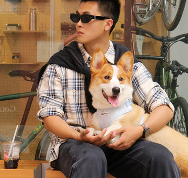 warm clothes for small dogs