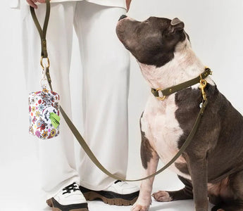 Everything You Need to Know About Choosing the Best Dog Leash