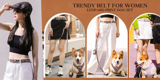 matching dog harness and bandana set for daily walk styling