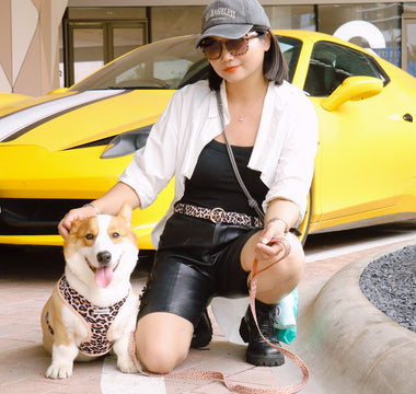 Matching dog and owner outfits — Bobotails designer dog harness and leopard accessories