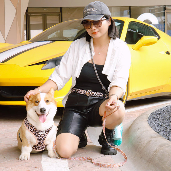 Matching dog and owner outfits — Bobotails designer dog harness and leopard accessories