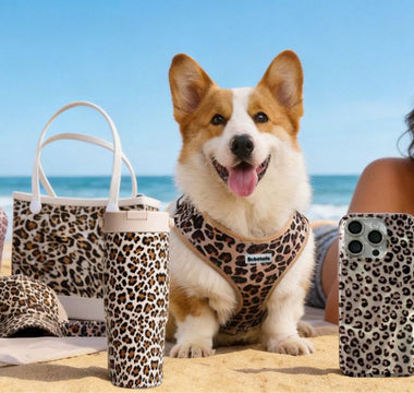 Bobotails Leopard Beach Collection — matching dog harness and owner accessories for beach lifestyle
