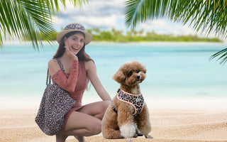 Poodle Beach Day Guide: Toy, Miniature & Standard Poodle Harness, Outfits & Tips