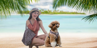 Poodle Beach Day Guide: Toy, Miniature & Standard Poodle Harness, Outfits & Tips