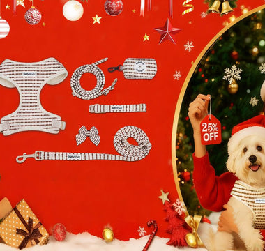Best Christmas Gifts for Dog Lovers 2025: The Complete 7-Piece Matching Set (30% OFF)