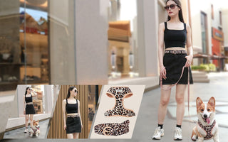 Dog Fashion Guide: How to Style Your Pup for Every Occasion