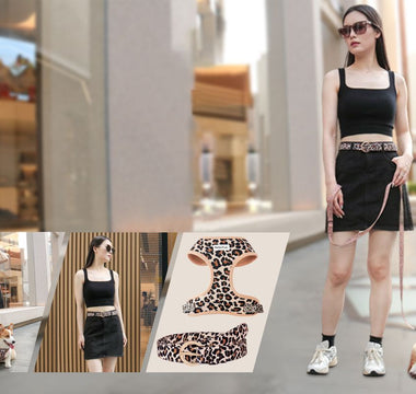 Dog Fashion Guide: How to Style Your Pup for Every Occasion