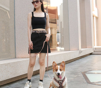 Best Matching Dog Collar and Leash Set for Small Dogs