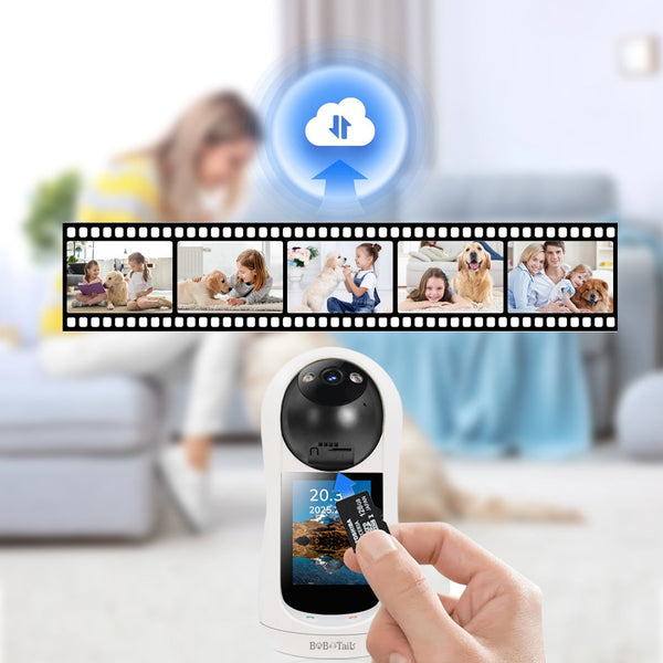 dog camera with treat dispenser