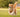 Interactive Dog Toys for well being and mental hapiness