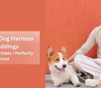 Best floral dog harness for weddings with elegant embroidery, designed for comfort, safety, and a perfectly matched wedding look