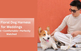 Best floral dog harness for weddings with elegant embroidery, designed for comfort, safety, and a perfectly matched wedding look
