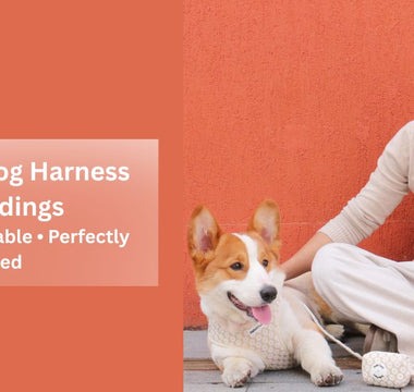 Best floral dog harness for weddings with elegant embroidery, designed for comfort, safety, and a perfectly matched wedding look