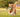 Interactive Dog Toys