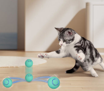 Interactive cat toy with ball for indoor play and exercise