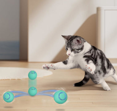 Interactive cat toy with ball for indoor play and exercise