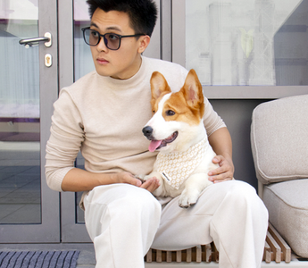 Dog Bandanas: Style, Comfort, and Fun for Your Furry Friend