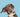 Dog Collars for Small Dogs: Safety, Style, and Functionality