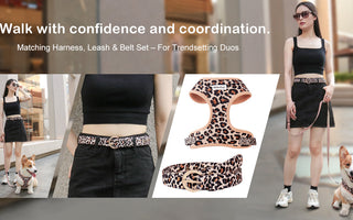 leopard matching dog harness and women's belt set