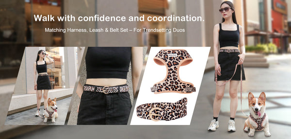 leopard matching dog harness and women's belt set