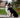 Big Dogs Clothing: Style, Comfort, and Safety for Your Gentle Giant