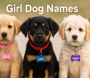Girl dog names that wearing name tags 