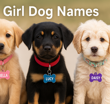 Girl dog names that wearing name tags 