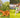 Interactive Dog Toys