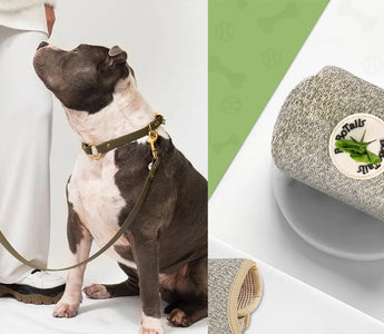 What is a dog poop bag holder?