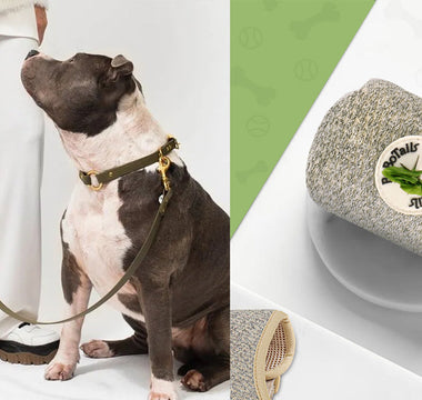 What is a dog poop bag holder?