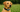 Best GPS Dog Collar with Real-Time Tracking for Pets