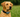 Best GPS Dog Collar with Real-Time Tracking for Pets