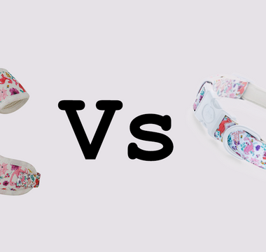 dog harness vs collar