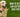 How to Get Sap Out of Dog Fur?