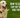 How to Get Sap Out of Dog Fur?