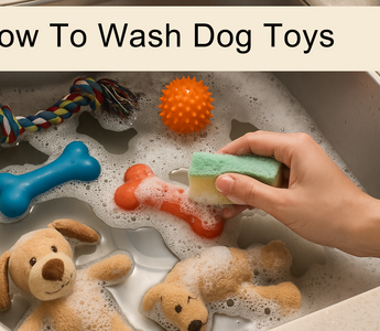 How to Wash Dog Toys?