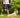 Outfits for Wiener Dogs
