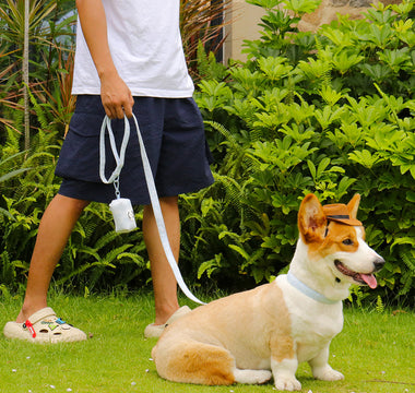 Outfits for Wiener Dogs
