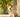Dog Lovers Secrets 