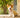 Dog Lovers Secrets 