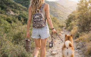 Shiba Inu Harness Guide: The Best Fit for Your Shiba's Adventures
