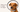 What is an e collar for dogs?