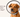 What is an e collar for dogs?