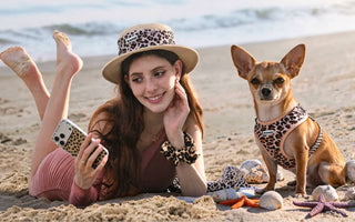 Chihuahua Beach Day Guide: Matching Harness, Outfits & Summer Safety Tips